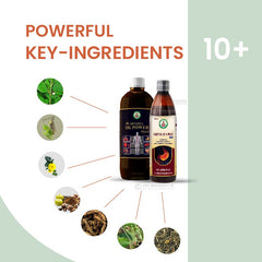 Ayur Bahma Advance SK Power Plus (Stomakk Kare Power Plus) & Gastro QR X Plus Combo