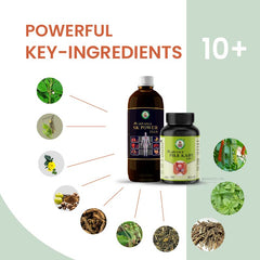 Ayur Brahma Wellness Advance Pile Kare X Plus Capsules & SK Power Plus (Stomakk Kare Power Plus) Combo