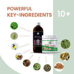 Ayur Brahma Advance Skin Kare Powder & SK Power Plus (Stomakk Kare Power Plus) Combo